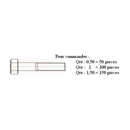 VIS TH 8.8 Zn DIN 931 M6x30 ( prix aux 100 pièces ) Boitage 500